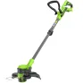 Триммер Greenworks G24LT301 (24V, 1*4.0 Ah, carton)