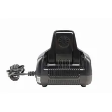 Зарядное устройство к АКБ Greenworks G60DC10 (60 V, 10 A)