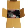 Шлифмашина эксцентриковая DCK KSA125 (carton)