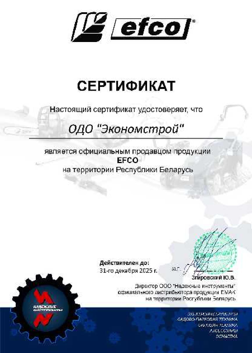 Сертификат дистрибьютора Efco